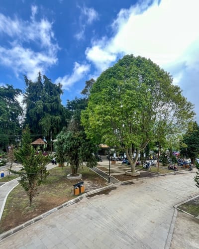 galeri Villa Dieng Tiny House Teras Candi  Arjuna 3