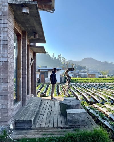 galeri Amangriyo Farmhouse 4