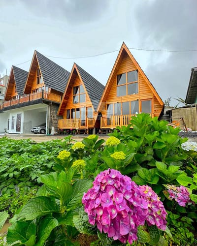 galeri Cottage Calla Dieng 0
