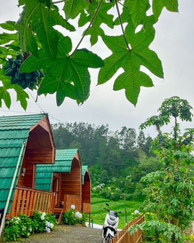 galeri Cabin Ira Dieng 1