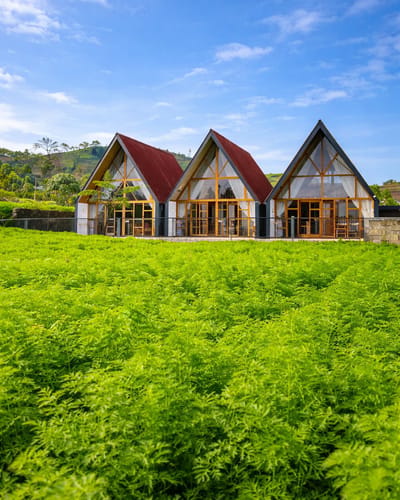 galeri Cabin M Sikunang 1