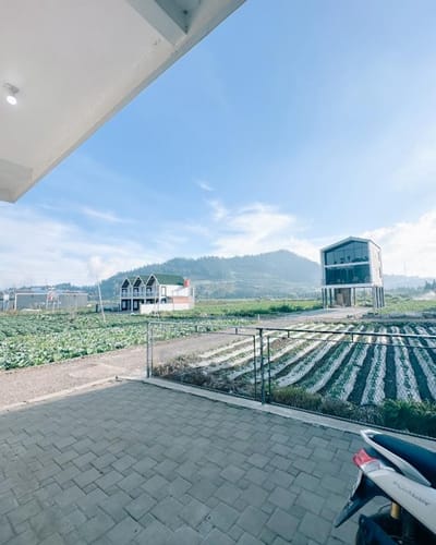 galeri Homestay Nyare Dieng 4