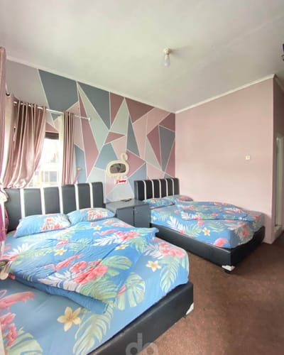 galeri Homestay zea Dieng atas 2