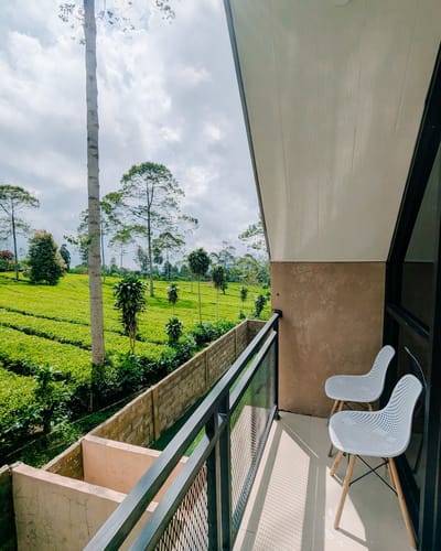 galeri Napoleon Luxury ~ Villa Dekat kebun teh tambi  4