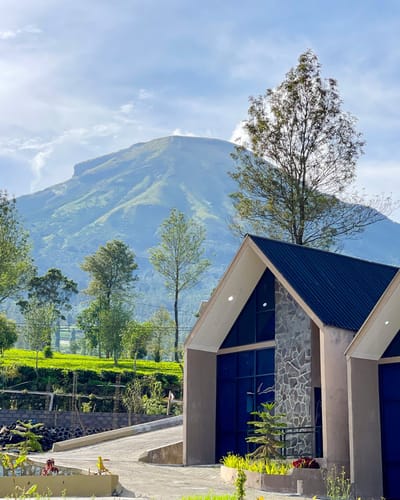 galeri Napoleon Luxury ~ Villa Dekat kebun teh tambi  1
