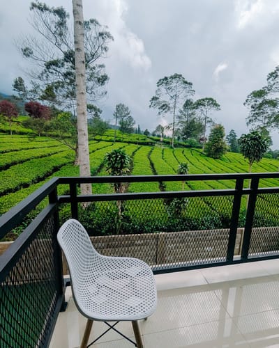 galeri Napoleon Luxury ~ Villa Dekat kebun teh tambi  2