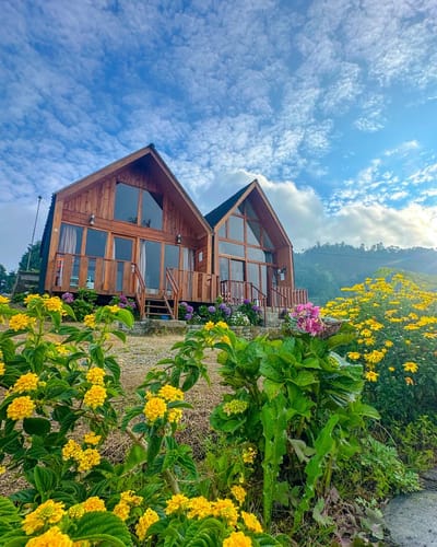 galeri Shiva Cabin Dieng 2 0