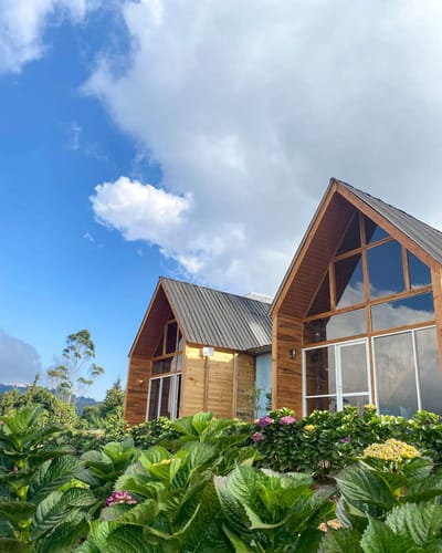 galeri Cottage Dieng Yayan 0