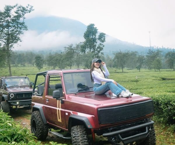 Jeep Trip Dieng Zona 3 2
